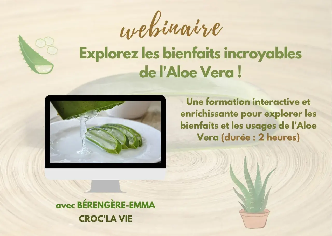 Webinaire sur les incroyables aloe vera bienfaits. Gel frais d'aloe vera sur des tranches. Formation interactive de 2h.