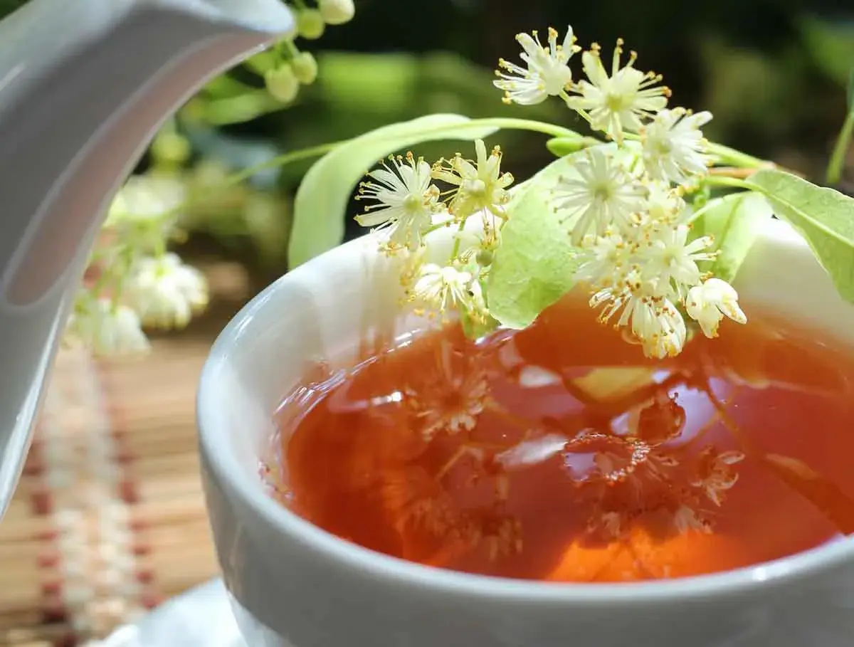 Une tasse de thé ambré, garnie de fleurs de tilleul, parfaite pour une infusion digestion.