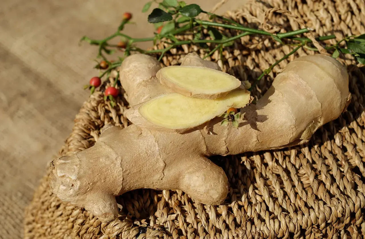 Gingembre frais tranché, prêt à être infusé avec du ginseng pour une boisson revigorante.