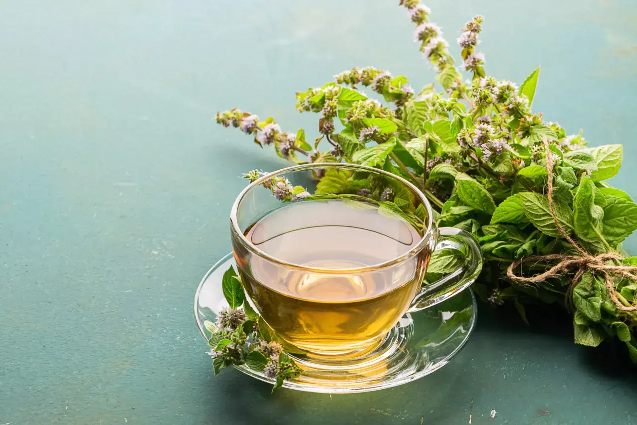 Une tasse de tisane dorée, prête à être dégustée, avec un bouquet de menthe fraîche. Le temps infusion tisane est parfait.