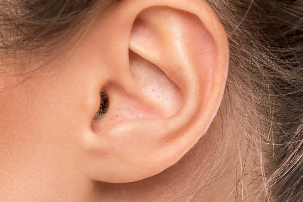 Gros plan sur une oreille humaine, montrant des pores et un petit point noir dans le conduit auditif.