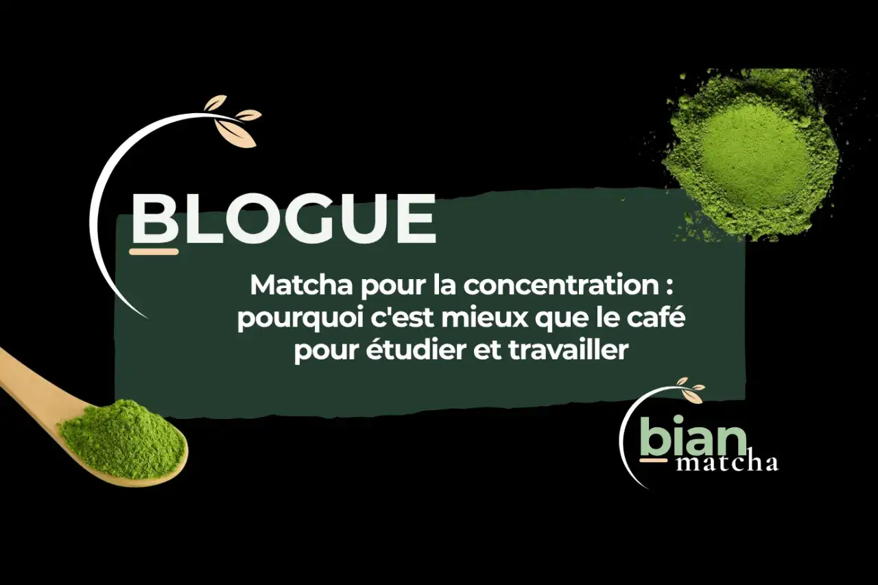 Le blogue 