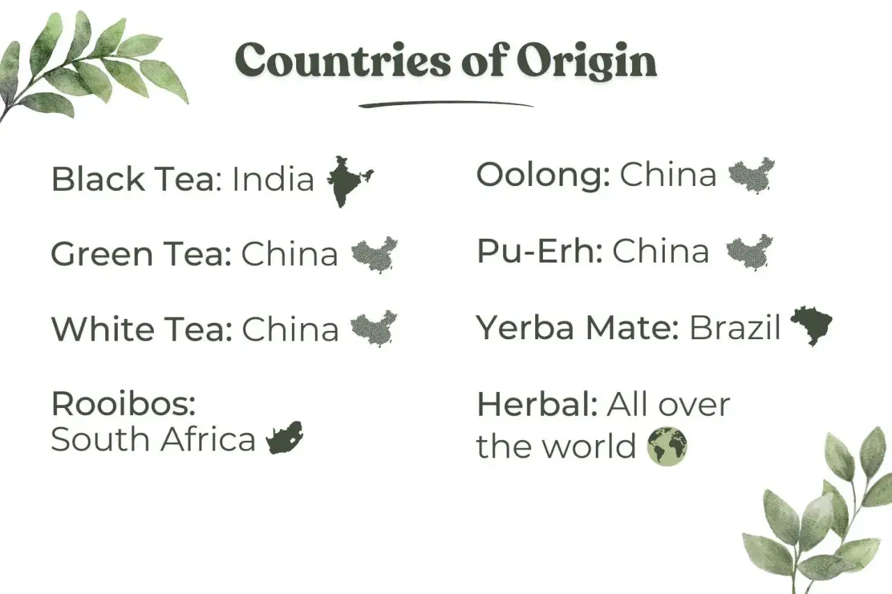Liste des noms de th&eacute; et de leurs pays d'origine : th&eacute; noir d'Inde, th&eacute; vert et blanc de Chine, oolong et pu-erh de Chine, yerba mat&eacute; du Br&eacute;sil, rooibos d'Afrique du Sud, tisanes du monde entier.