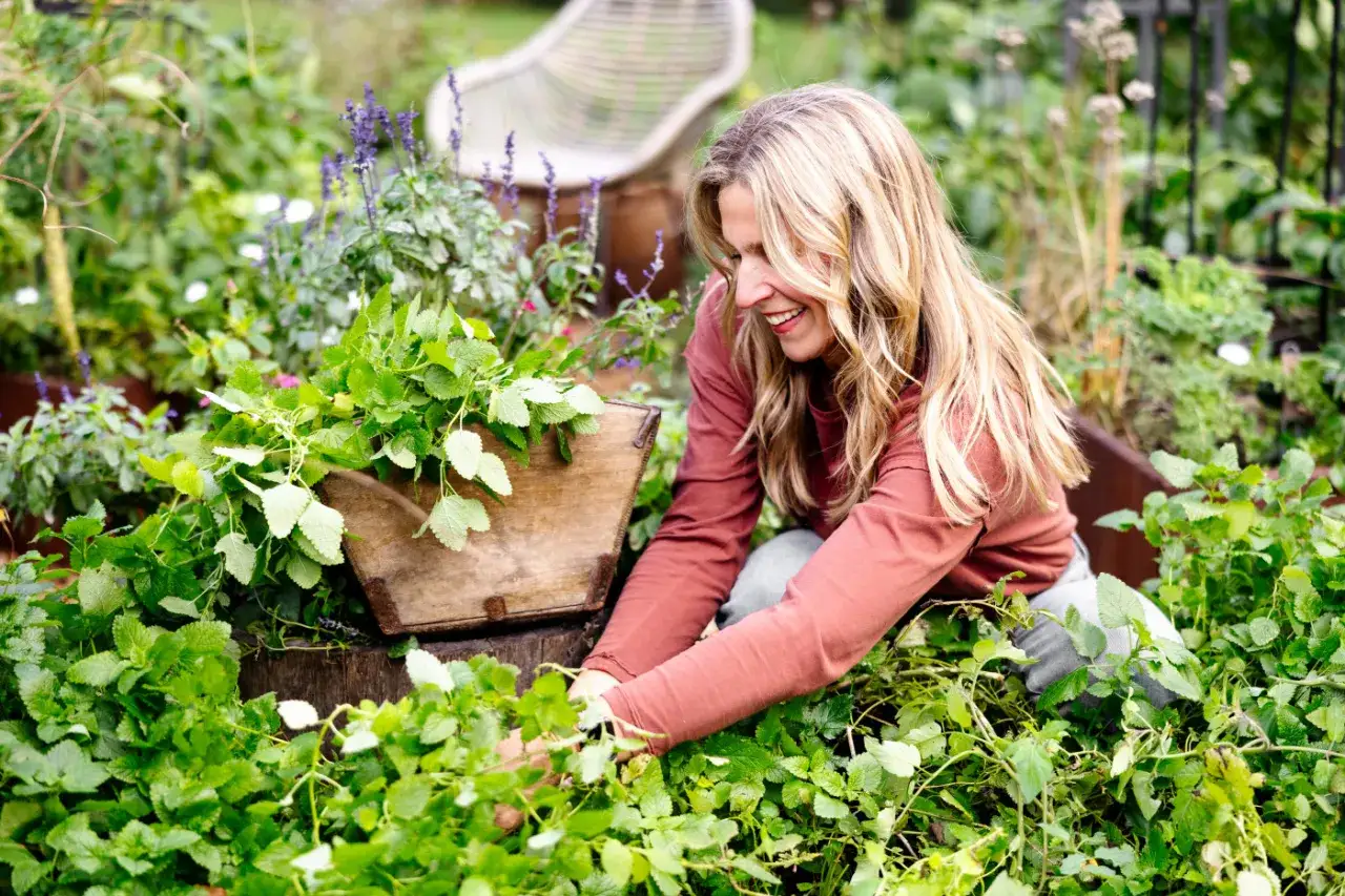 Une femme blonde rit en r&eacute;coltant de la m&eacute;lisse dans un jardin luxuriant.