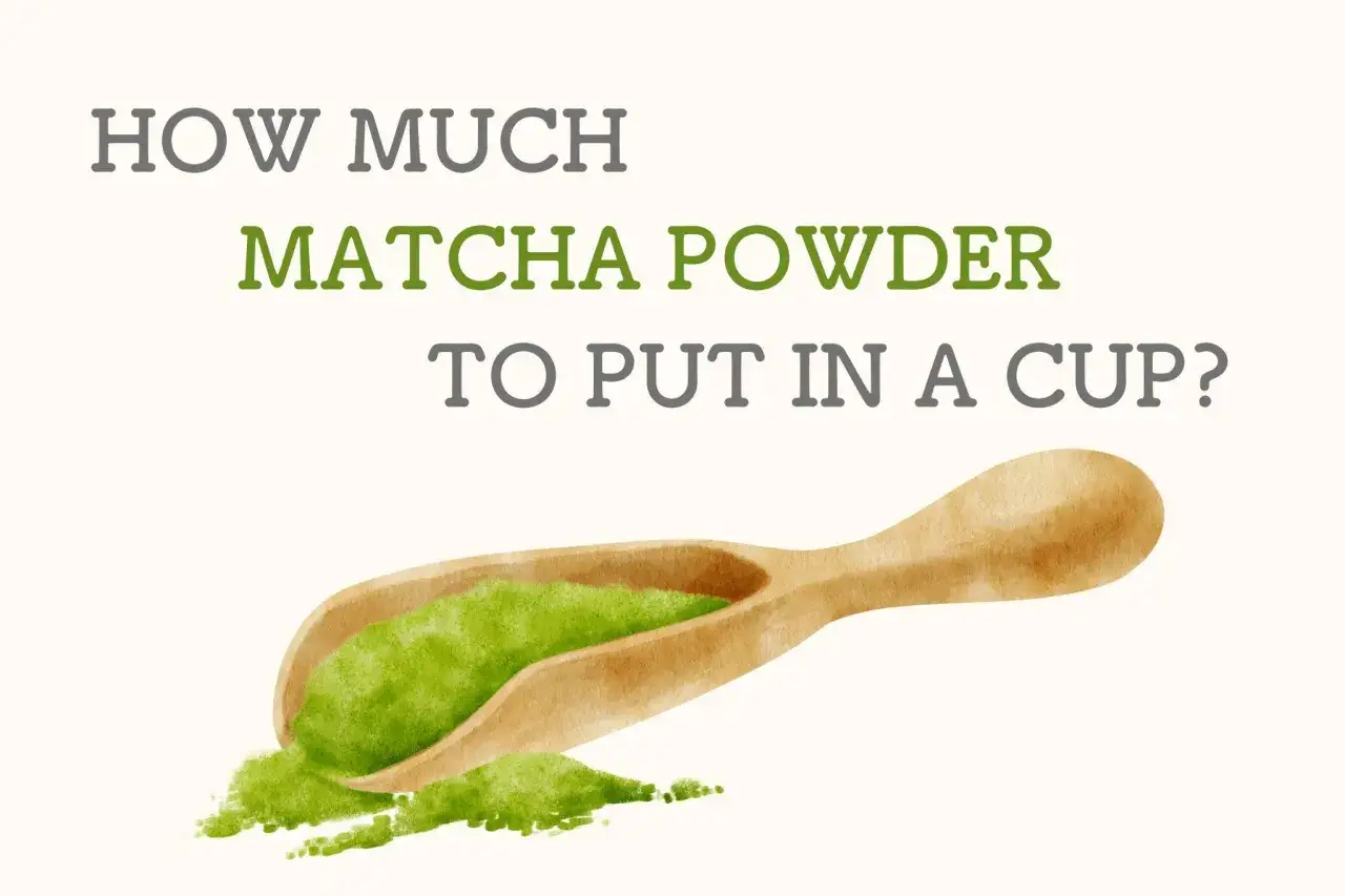 Une cuillère en bois déborde de poudre de matcha verte, suggérant la quantité de matcha par jour à utiliser pour une tasse parfaite.