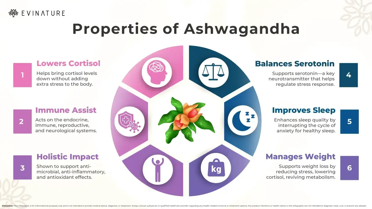 Infographie sur les propri&eacute;t&eacute;s de l'Ashwagandha : r&eacute;duit le cortisol, aide le syst&egrave;me immunitaire, &eacute;quilibre la s&eacute;rotonine, am&eacute;liore le sommeil, g&egrave;re le poids. Avis positif sur l'Ashwagandha.