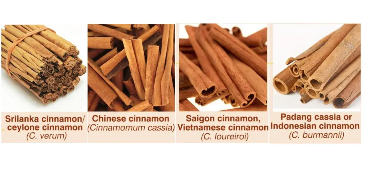 Quatre types de cannelle : Ceylan, Chine, Saigon, Indonésie. Attention aux dangers de la cannelle, certaines variétés sont plus riches en coumarine.