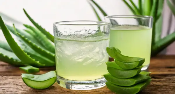 Deux verres de jus d'aloe vera à boire, entourés de feuilles d'aloe vera fraîches et de morceaux coupés.